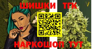 гашик Гусь-Хрустальный