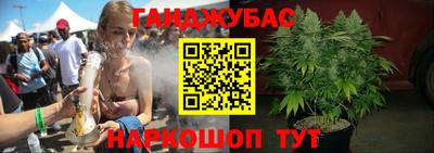 гашик Гусь-Хрустальный